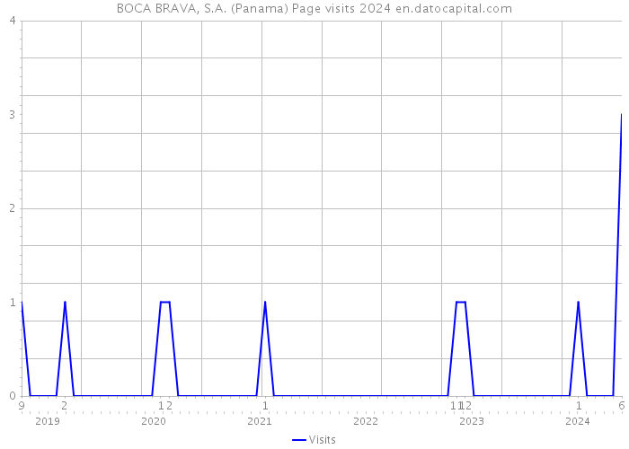 BOCA BRAVA, S.A. (Panama) Page visits 2024 