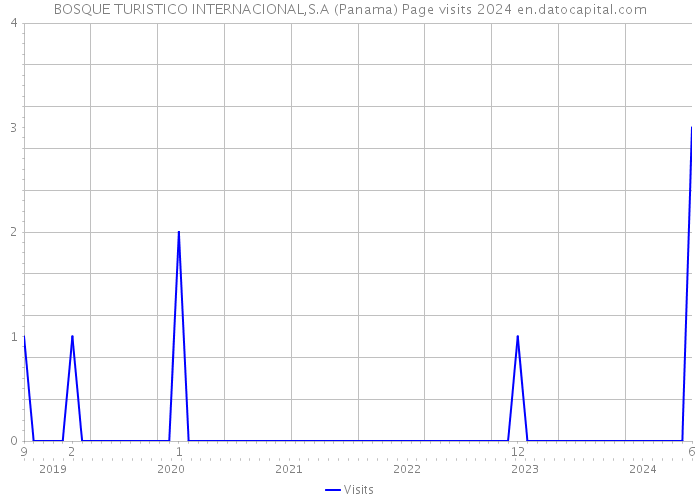 BOSQUE TURISTICO INTERNACIONAL,S.A (Panama) Page visits 2024 