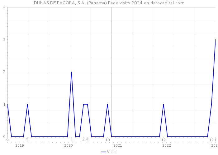 DUNAS DE PACORA, S.A. (Panama) Page visits 2024 