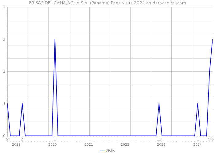BRISAS DEL CANAJAGUA S.A. (Panama) Page visits 2024 