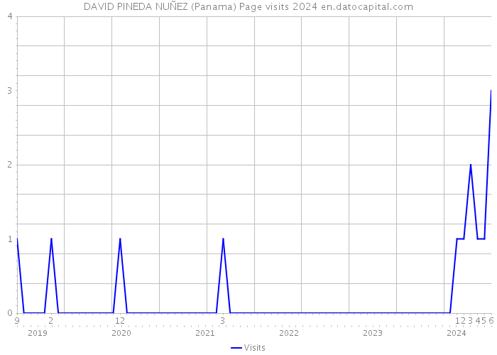 DAVID PINEDA NUÑEZ (Panama) Page visits 2024 