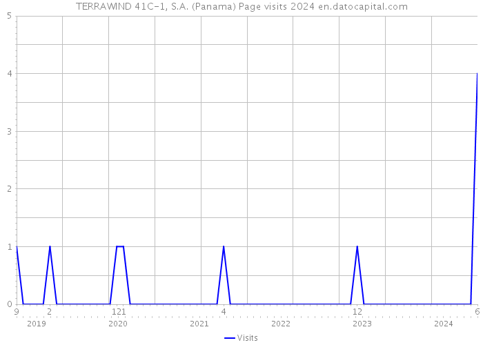 TERRAWIND 41C-1, S.A. (Panama) Page visits 2024 