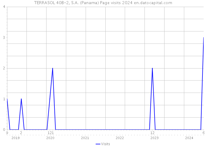 TERRASOL 40B-2, S.A. (Panama) Page visits 2024 
