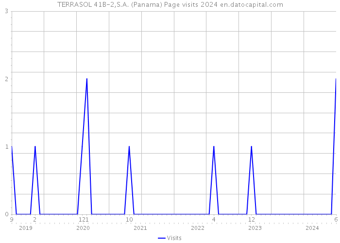 TERRASOL 41B-2,S.A. (Panama) Page visits 2024 