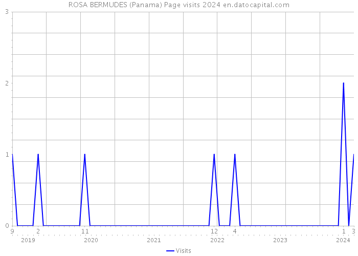 ROSA BERMUDES (Panama) Page visits 2024 