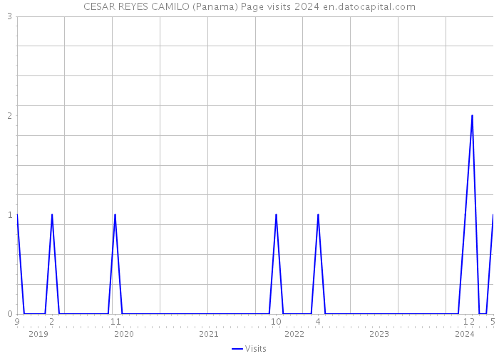 CESAR REYES CAMILO (Panama) Page visits 2024 