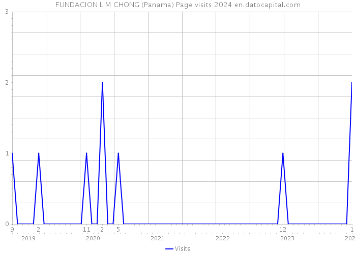 FUNDACION LIM CHONG (Panama) Page visits 2024 