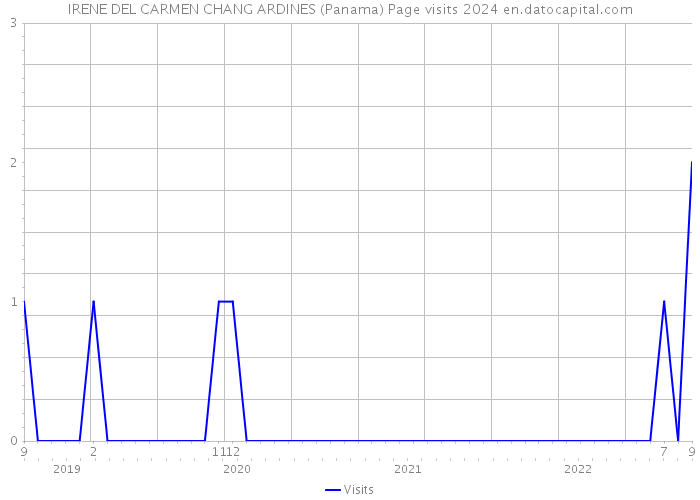 IRENE DEL CARMEN CHANG ARDINES (Panama) Page visits 2024 