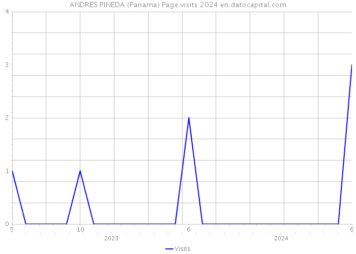 ANDRES PINEDA (Panama) Page visits 2024 