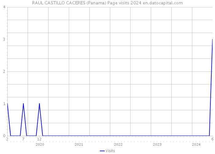 RAUL CASTILLO CACERES (Panama) Page visits 2024 