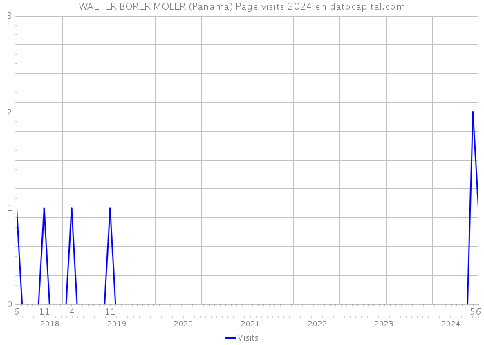 WALTER BORER MOLER (Panama) Page visits 2024 