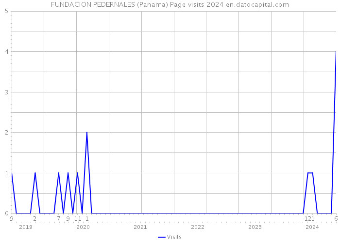 FUNDACION PEDERNALES (Panama) Page visits 2024 