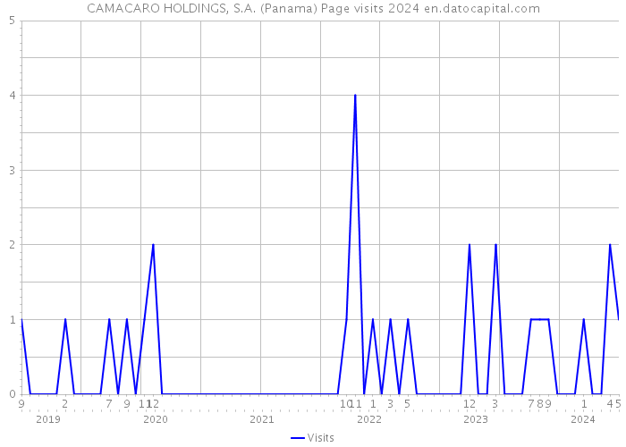 CAMACARO HOLDINGS, S.A. (Panama) Page visits 2024 