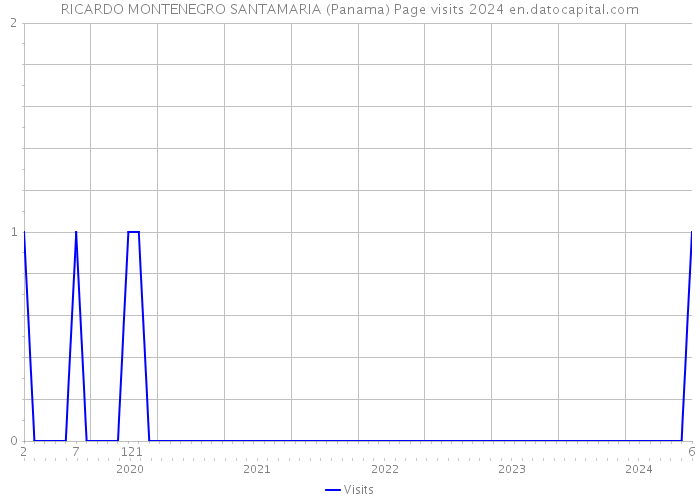 RICARDO MONTENEGRO SANTAMARIA (Panama) Page visits 2024 