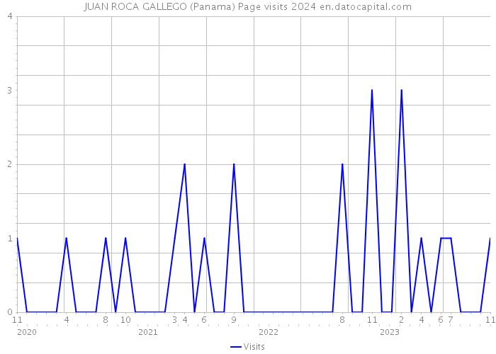 JUAN ROCA GALLEGO (Panama) Page visits 2024 
