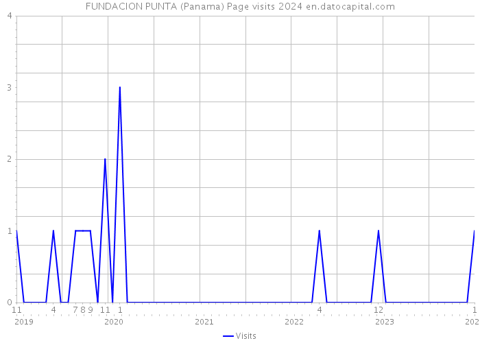 FUNDACION PUNTA (Panama) Page visits 2024 