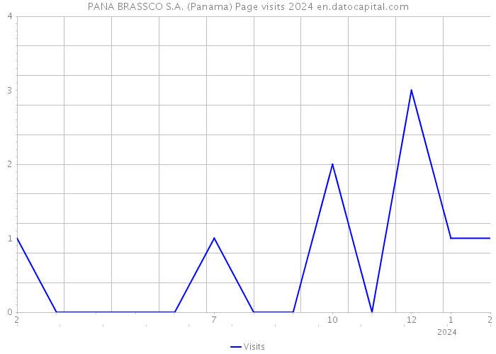 PANA BRASSCO S.A. (Panama) Page visits 2024 