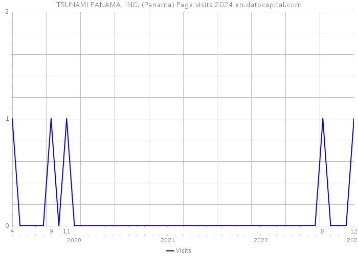 TSUNAMI PANAMA, INC. (Panama) Page visits 2024 