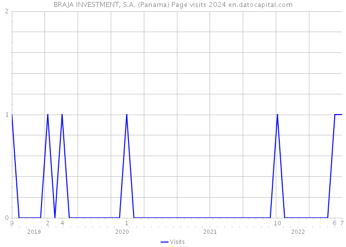 BRAJA INVESTMENT, S.A. (Panama) Page visits 2024 