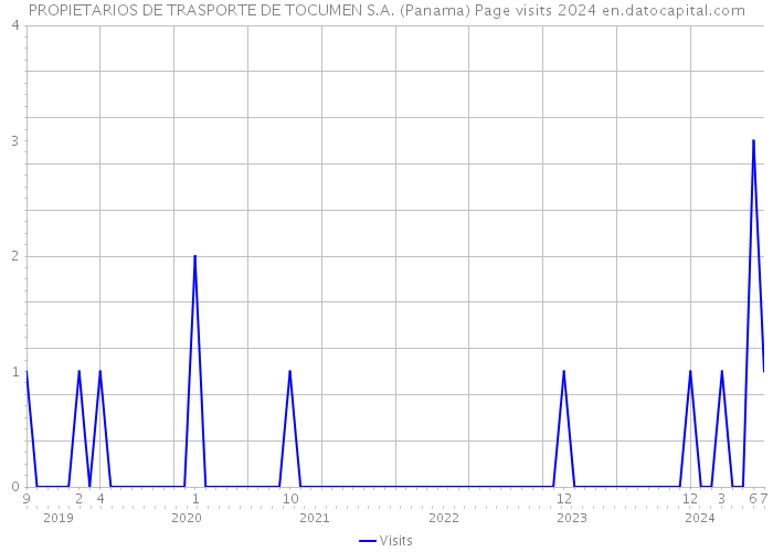PROPIETARIOS DE TRASPORTE DE TOCUMEN S.A. (Panama) Page visits 2024 