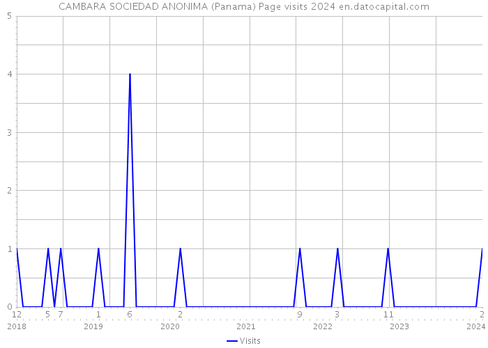 CAMBARA SOCIEDAD ANONIMA (Panama) Page visits 2024 