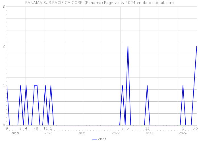 PANAMA SUR PACIFICA CORP. (Panama) Page visits 2024 