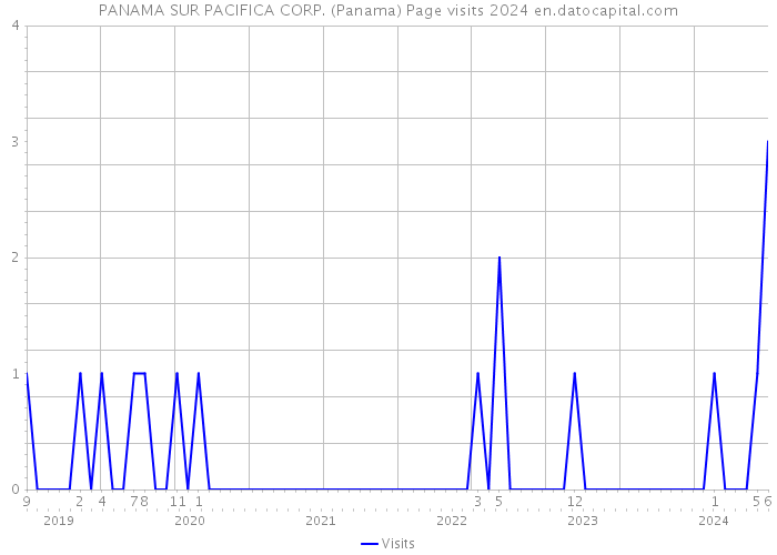 PANAMA SUR PACIFICA CORP. (Panama) Page visits 2024 