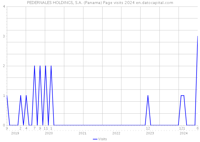 PEDERNALES HOLDINGS, S.A. (Panama) Page visits 2024 
