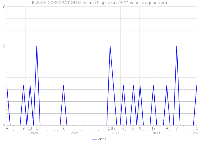BURICA CORPORATION (Panama) Page visits 2024 