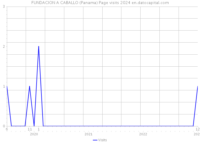 FUNDACION A CABALLO (Panama) Page visits 2024 