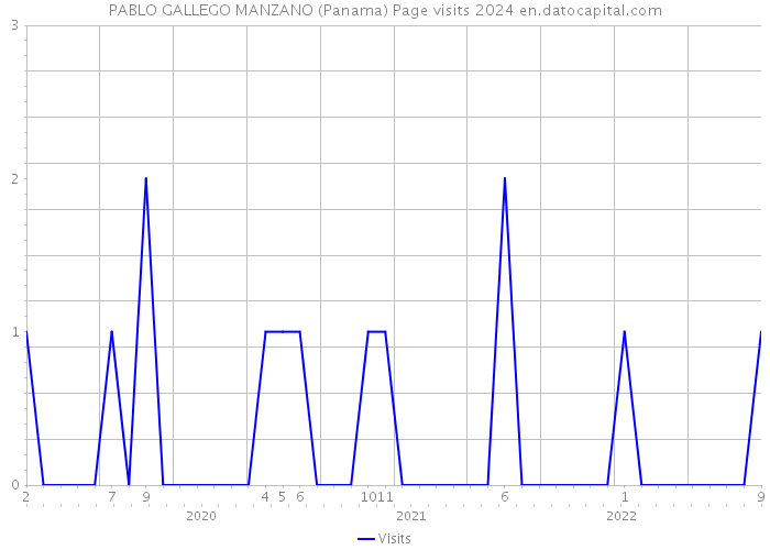 PABLO GALLEGO MANZANO (Panama) Page visits 2024 