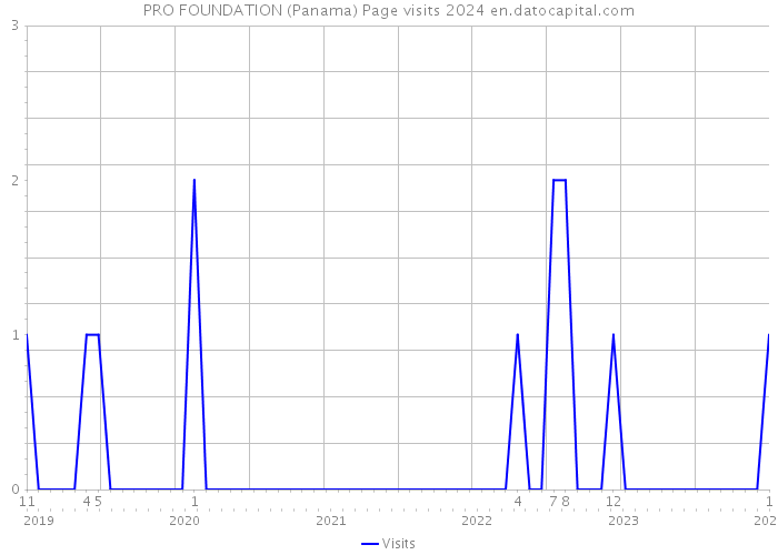 PRO FOUNDATION (Panama) Page visits 2024 