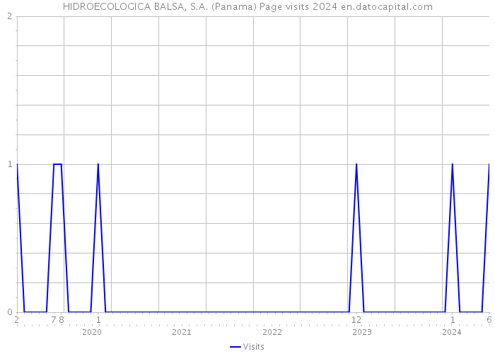 HIDROECOLOGICA BALSA, S.A. (Panama) Page visits 2024 