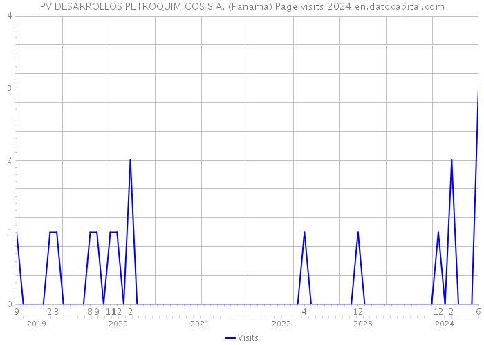 PV DESARROLLOS PETROQUIMICOS S.A. (Panama) Page visits 2024 