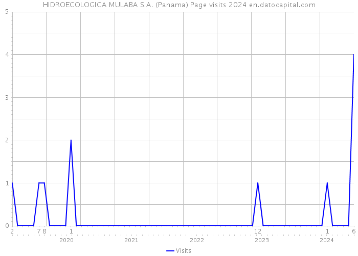 HIDROECOLOGICA MULABA S.A. (Panama) Page visits 2024 