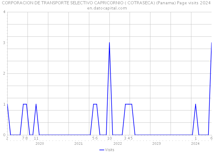 CORPORACION DE TRANSPORTE SELECTIVO CAPRICORNIO ( COTRASECA) (Panama) Page visits 2024 