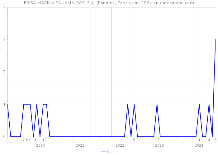BRISA MARINA PANAMA DOS, S.A. (Panama) Page visits 2024 