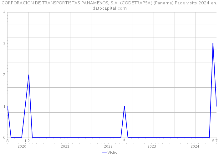 CORPORACION DE TRANSPORTISTAS PANAMEöOS, S.A. (CODETRAPSA) (Panama) Page visits 2024 