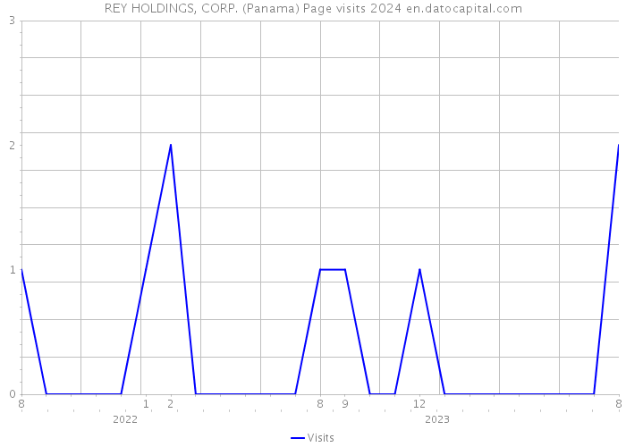 REY HOLDINGS, CORP. (Panama) Page visits 2024 