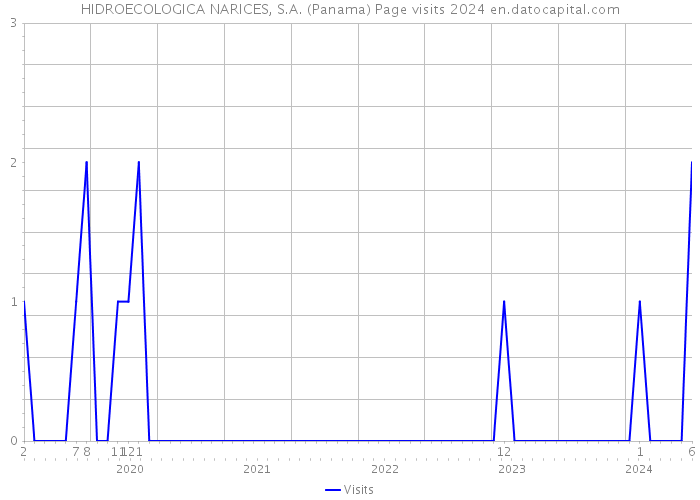HIDROECOLOGICA NARICES, S.A. (Panama) Page visits 2024 