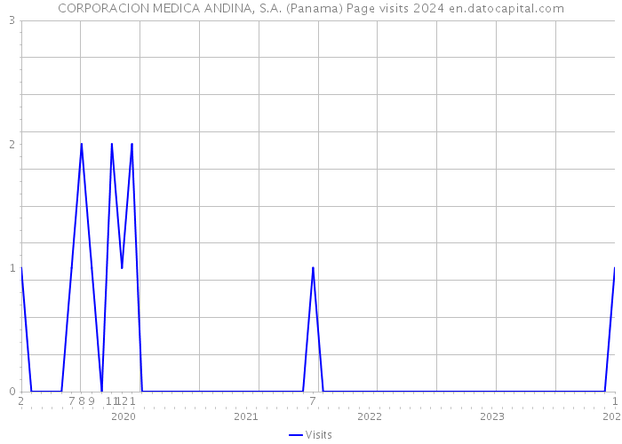CORPORACION MEDICA ANDINA, S.A. (Panama) Page visits 2024 