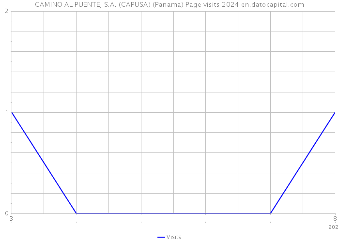 CAMINO AL PUENTE, S.A. (CAPUSA) (Panama) Page visits 2024 