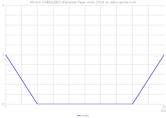 MIXILA CABALLERO (Panama) Page visits 2024 