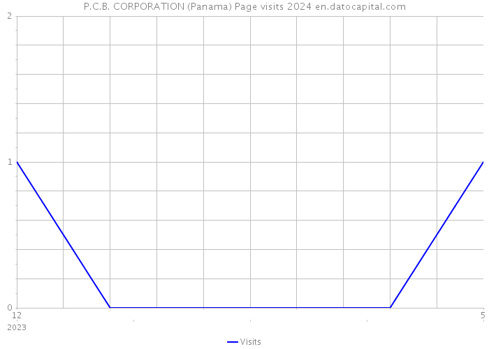 P.C.B. CORPORATION (Panama) Page visits 2024 