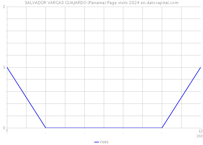 SALVADOR VARGAS GUAJARDO (Panama) Page visits 2024 