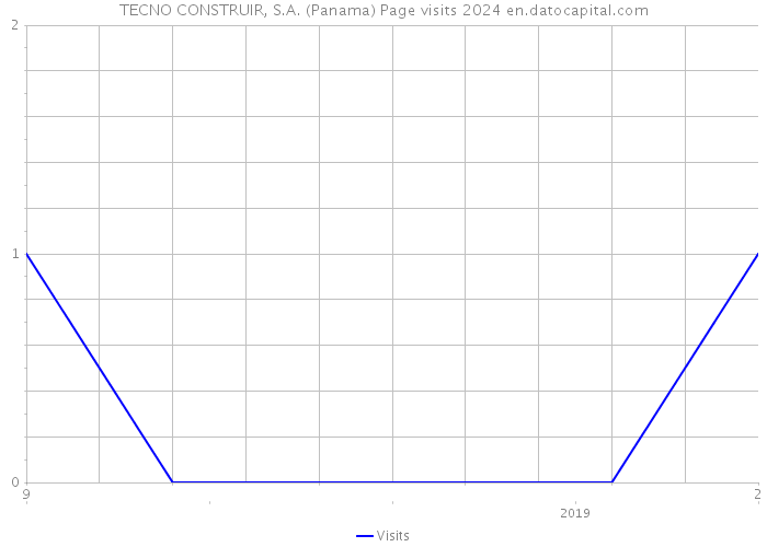 TECNO CONSTRUIR, S.A. (Panama) Page visits 2024 