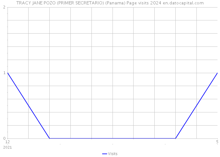 TRACY JANE POZO (PRIMER SECRETARIO) (Panama) Page visits 2024 