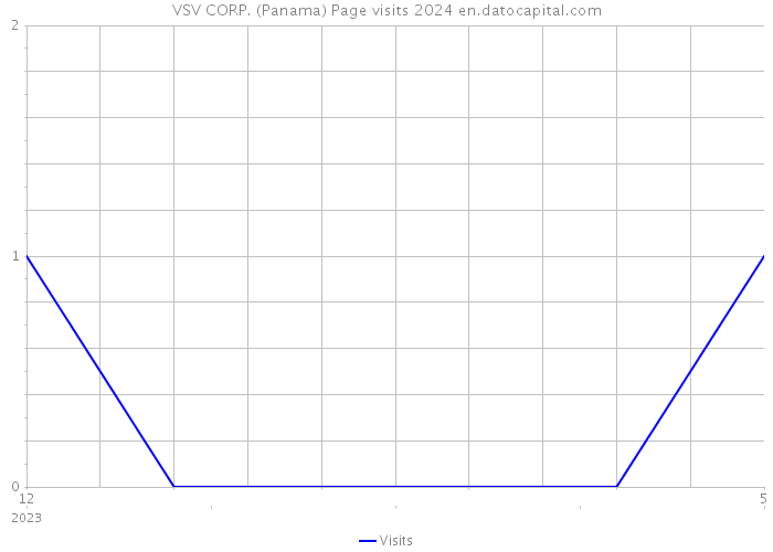 VSV CORP. (Panama) Page visits 2024 