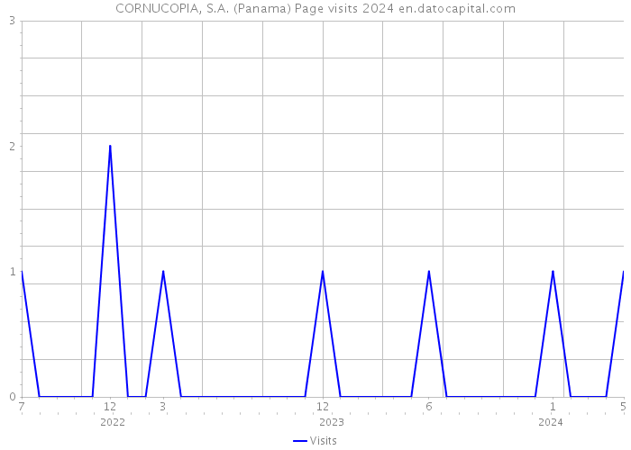 CORNUCOPIA, S.A. (Panama) Page visits 2024 