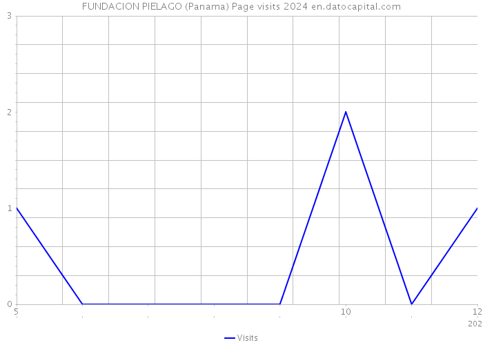 FUNDACION PIELAGO (Panama) Page visits 2024 